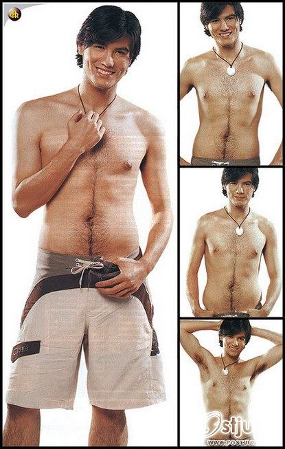 พระเอกที่ผ่านมา