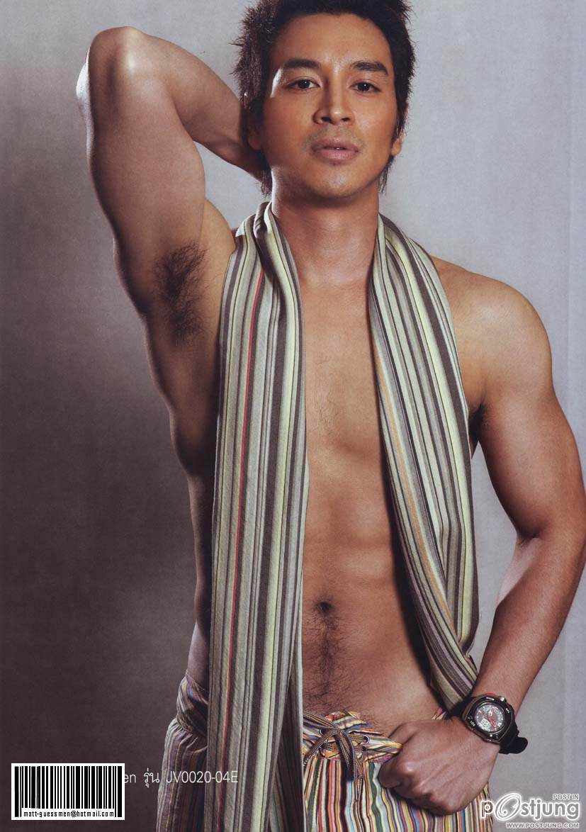 พระเอกที่ผ่านมา