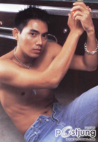 พระเอกที่ผ่านมา