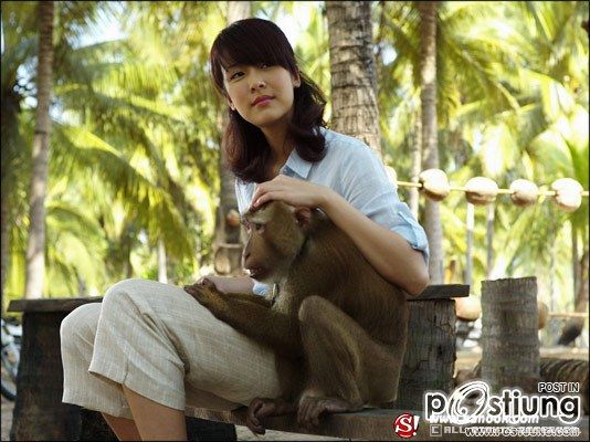 ภาพยนตร์ กะปิ