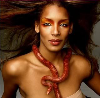 บิวตี้ช็อท กับงู