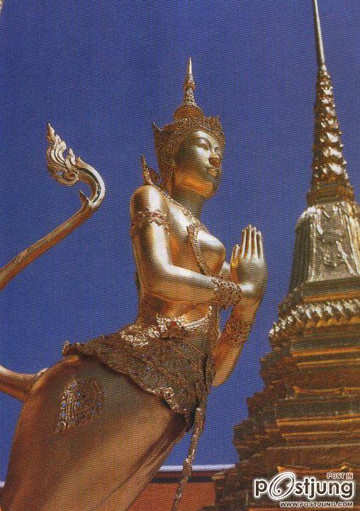 สีทองอร่ามทั้งตัว