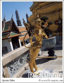 ความคืบหน้าชุดประจำชาติ Miss Thailand Universe 2011