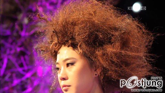 헤어쇼 / Hair Show