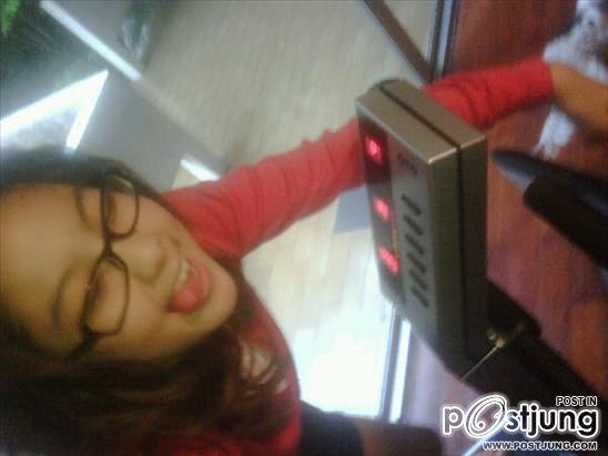 หวาย หวาย waii kamikaze