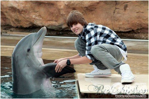 จัสติน ดรูว์ บีเบอร์ (Justin Drew Bieber)