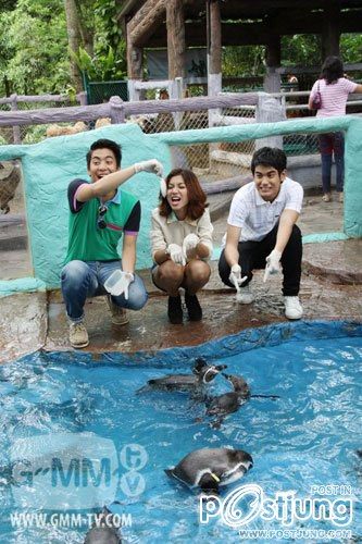 กิ่งTS5จ้า