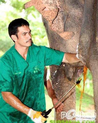 รวมหนุ่มหุ่นเท่