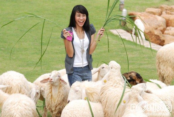 ขนมจีน กุลมาศ ลิมปวุฒิวรานนท์