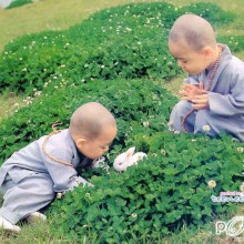 เณรน้อยน่ารัก  By Chay-ake