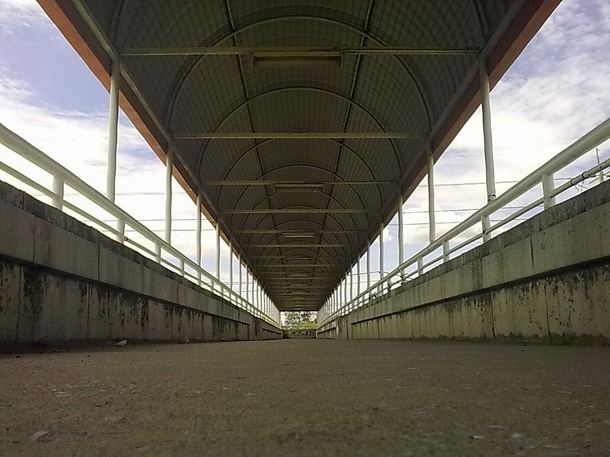 โรงเรียนราชสีมาวิทยาลัย