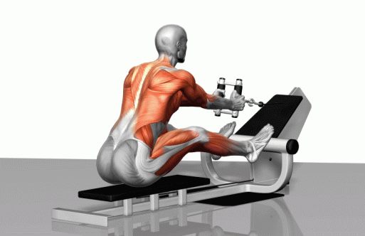 Strength training - Dynamic 3D illustrations