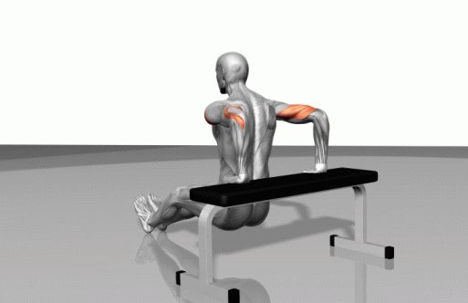 Strength training - Dynamic 3D illustrations