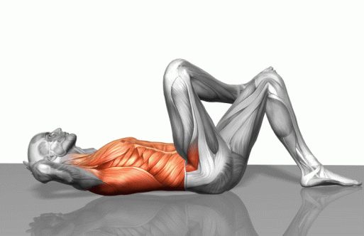 Strength training - Dynamic 3D illustrations