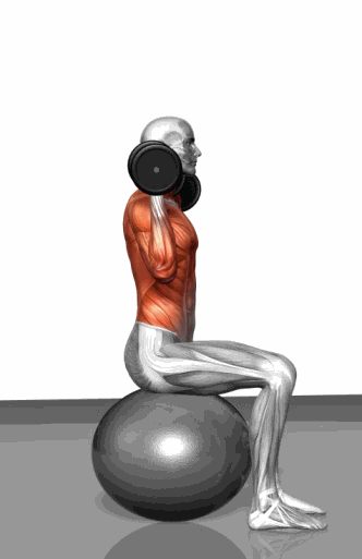 Strength training - Dynamic 3D illustrations