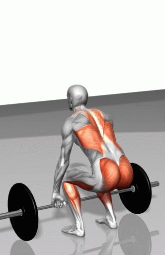 Strength training - Dynamic 3D illustrations