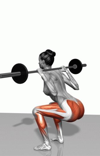 Strength training - Dynamic 3D illustrations