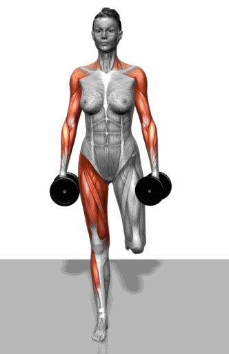 Strength training - Dynamic 3D illustrations