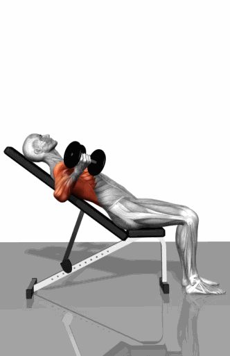 Strength training - Dynamic 3D illustrations