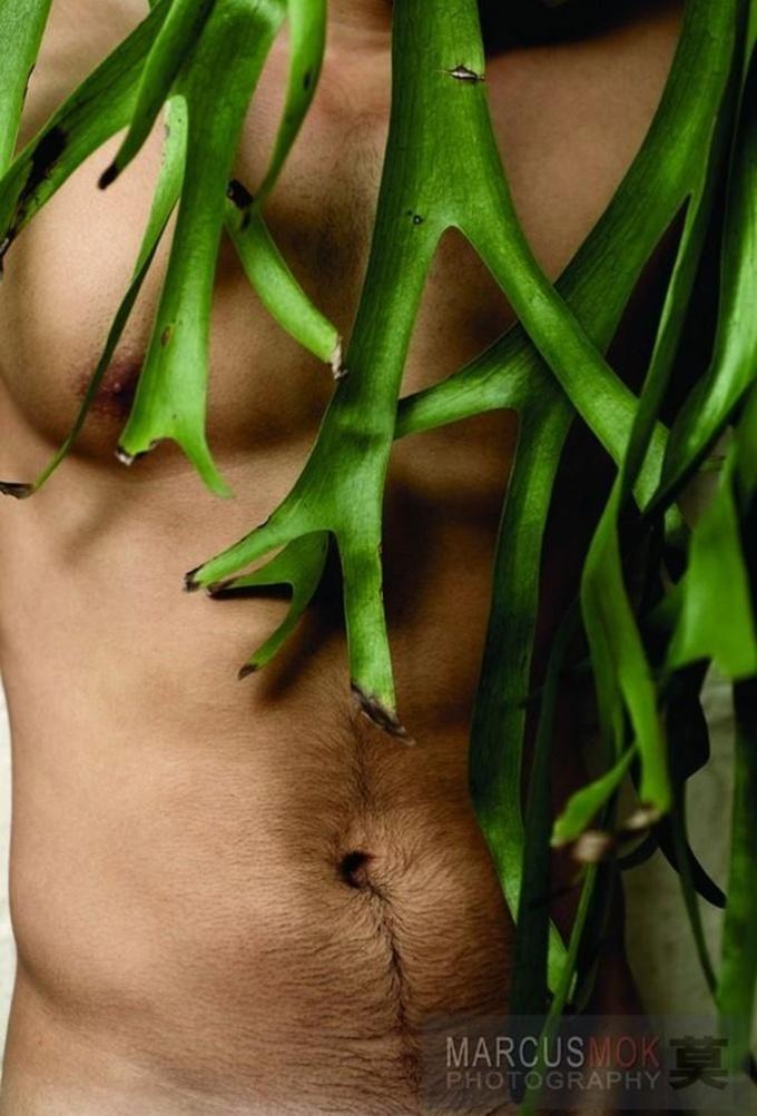 Photoshoot men album 305