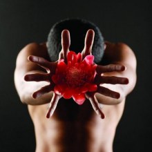 Photoshoot men album 305