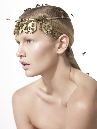 ไฮแฟชั่น บิวตี้ช็อท กับผึ้ง