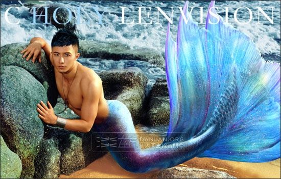 นายเงือกเกยหาด