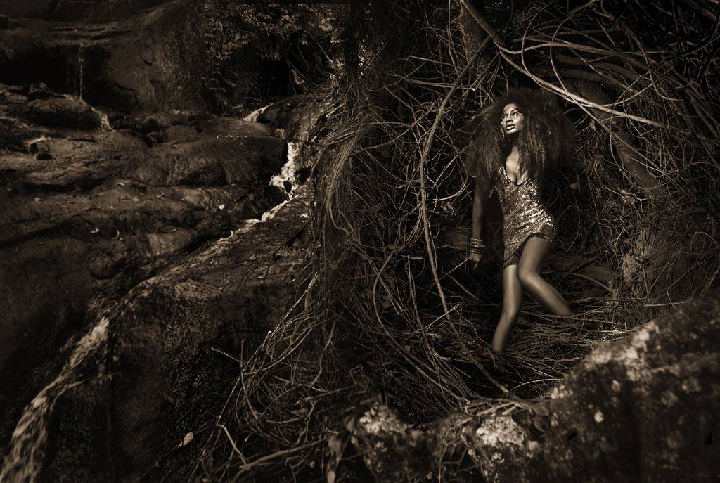 นกกระจอกเทศบราซิล