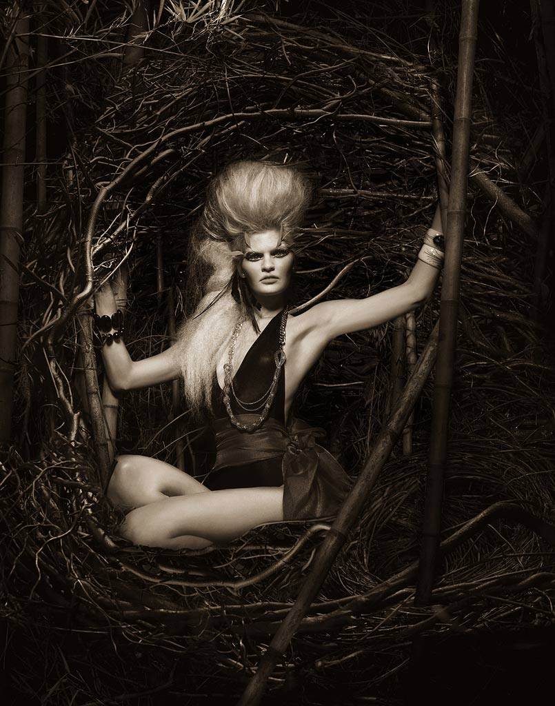 นกกระจิบภูเขา