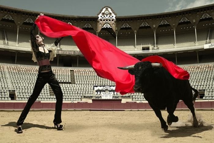 ไฮแฟชั่น สุดยอดนางแบบ มาธาดอร์