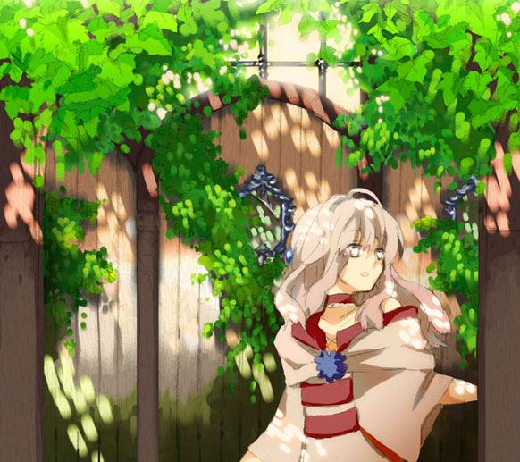 เสิร์ฟการ์ตูนรอบดึก