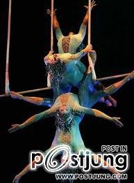 Cirgue de Soleil ละครสัตว์พระอาทิตย์