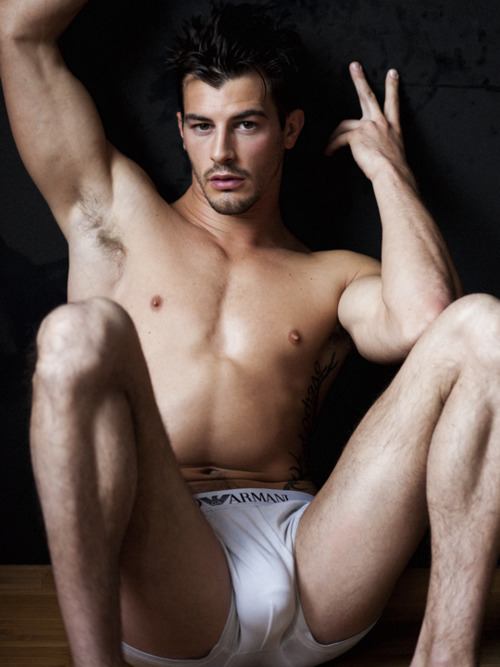 เซ็กซี่และฝันดีครับ