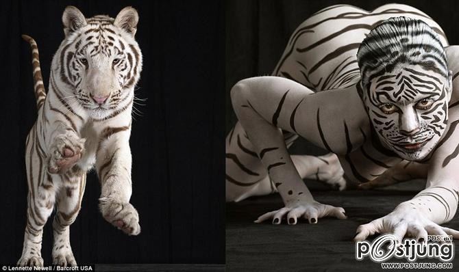 BodyPaint : Animal instincts