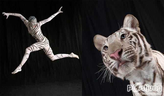 BodyPaint : Animal instincts