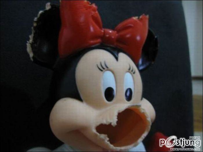 สัตว์เลี้ยงแสนซน!