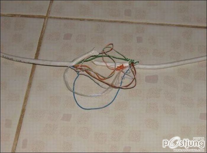 สัตว์เลี้ยงแสนซน!