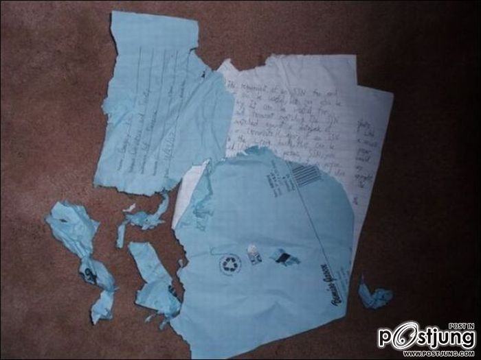 สัตว์เลี้ยงแสนซน!