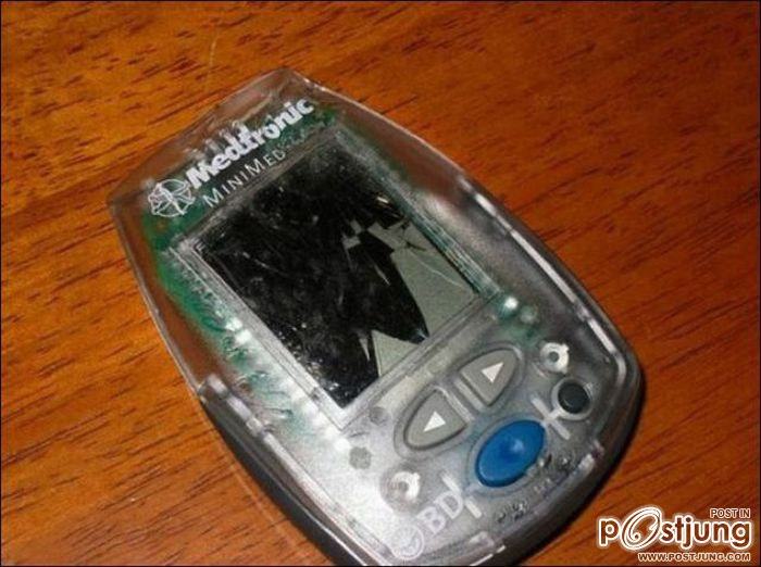 สัตว์เลี้ยงแสนซน!