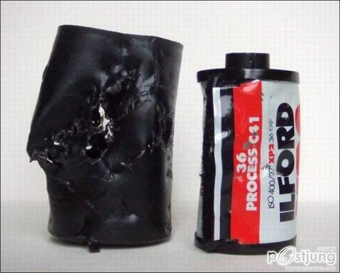 สัตว์เลี้ยงแสนซน!