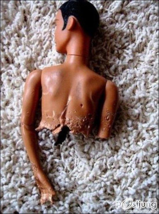 สัตว์เลี้ยงแสนซน!