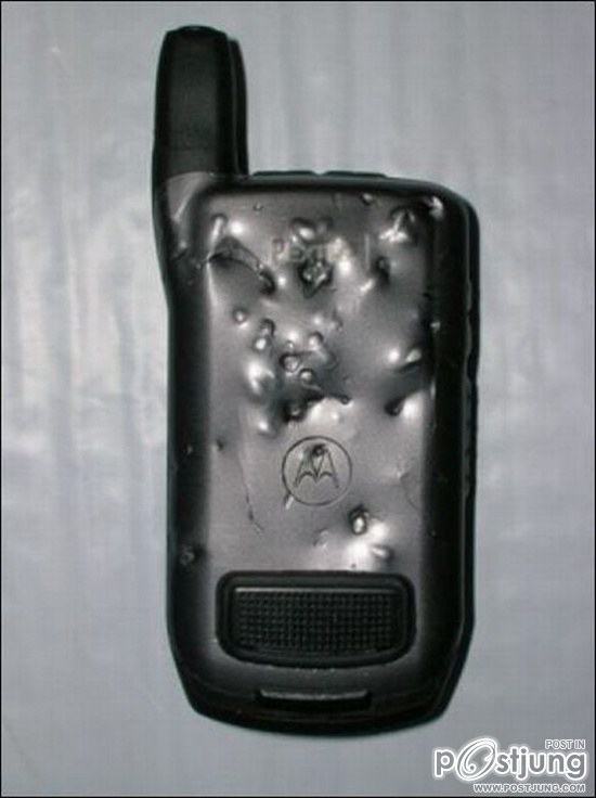 สัตว์เลี้ยงแสนซน!