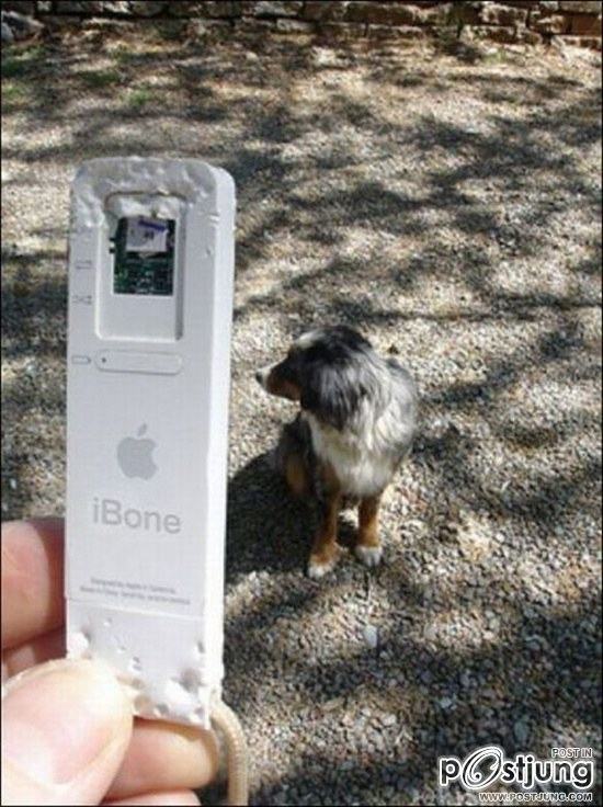 สัตว์เลี้ยงแสนซน!