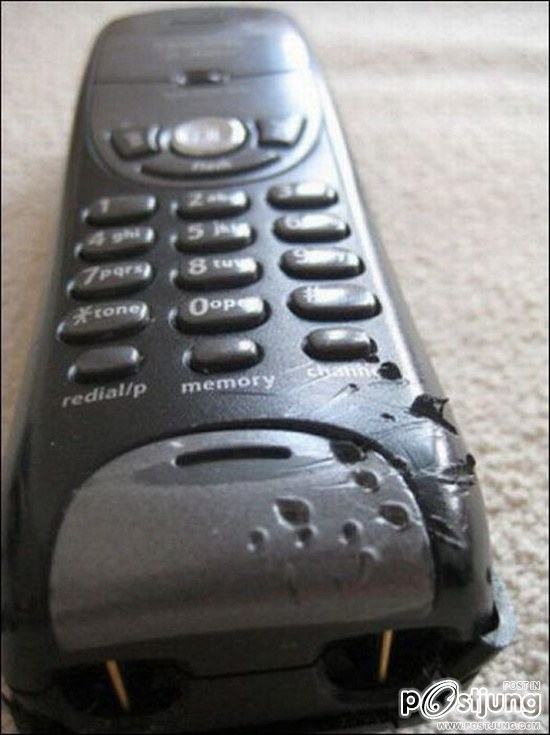 สัตว์เลี้ยงแสนซน!