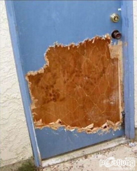 สัตว์เลี้ยงแสนซน!