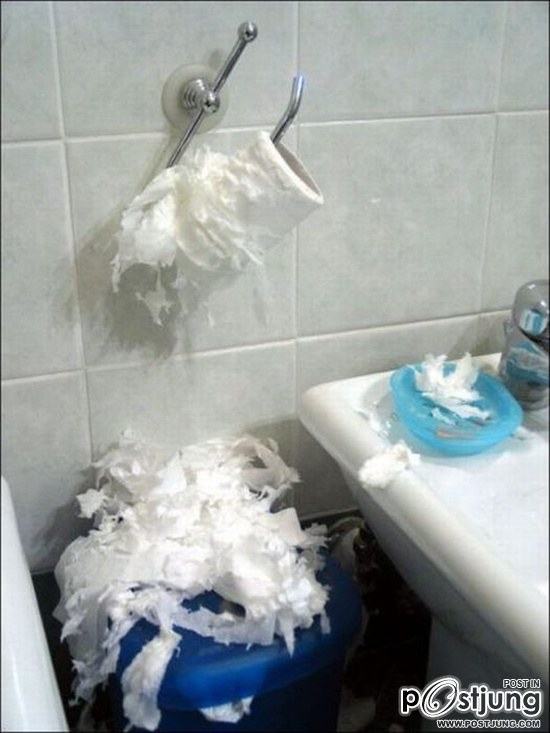 สัตว์เลี้ยงแสนซน!