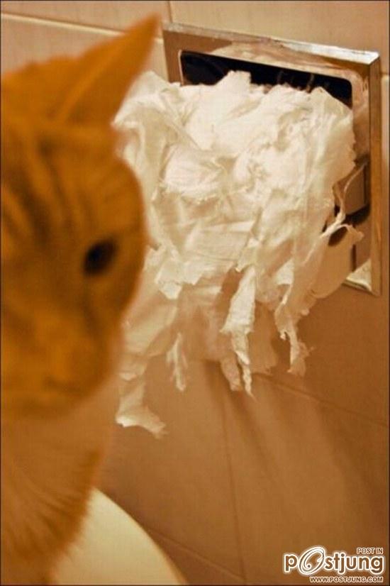 สัตว์เลี้ยงแสนซน!