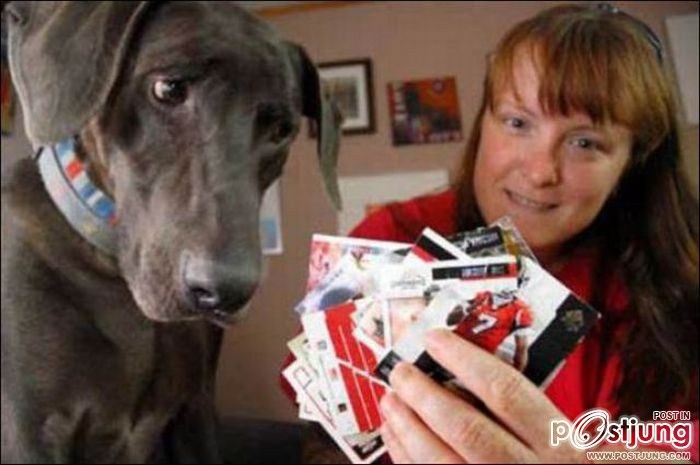 สัตว์เลี้ยงแสนซน!