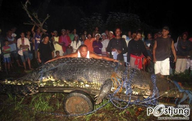 Giant Crocodile @ Philippines