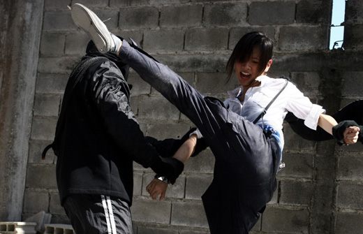 ใบเฟิร์น  พิมพ์ชนก